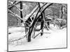 Central Park Snow Covered Trees II-Yoni Teleky-Mounted Art Print