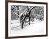 Central Park Snow Covered Trees II-Yoni Teleky-Framed Art Print