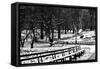 Central Park Snow-Jeff Pica-Framed Stretched Canvas