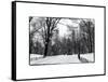 Central Park Snow-Philippe Hugonnard-Framed Stretched Canvas