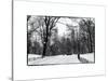Central Park Snow-Philippe Hugonnard-Stretched Canvas
