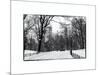 Central Park Snow-Philippe Hugonnard-Mounted Photographic Print