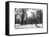 Central Park Snow-Philippe Hugonnard-Framed Stretched Canvas