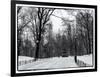 Central Park Snow-Philippe Hugonnard-Framed Photographic Print