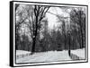 Central Park Snow-Philippe Hugonnard-Framed Stretched Canvas