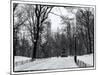 Central Park Snow-Philippe Hugonnard-Mounted Photographic Print