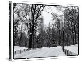 Central Park Snow-Philippe Hugonnard-Stretched Canvas