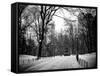 Central Park Snow-Philippe Hugonnard-Framed Stretched Canvas