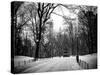 Central Park Snow-Philippe Hugonnard-Stretched Canvas