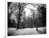 Central Park Snow-Philippe Hugonnard-Framed Photographic Print