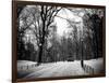 Central Park Snow-Philippe Hugonnard-Framed Photographic Print