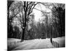 Central Park Snow-Philippe Hugonnard-Mounted Photographic Print