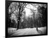 Central Park Snow-Philippe Hugonnard-Framed Photographic Print