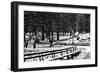 Central Park Snow-Jeff Pica-Framed Photographic Print