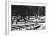 Central Park Snow-Jeff Pica-Framed Photographic Print