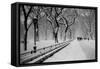 Central Park Snow-Bill Carson Photography-Framed Stretched Canvas