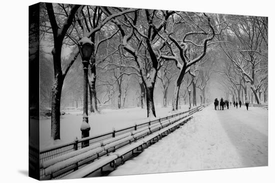 Central Park Snow-Bill Carson Photography-Stretched Canvas