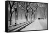 Central Park Snow-Bill Carson Photography-Framed Stretched Canvas