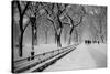 Central Park Snow-Bill Carson Photography-Stretched Canvas