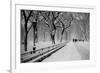 Central Park Snow-Bill Carson Photography-Framed Photographic Print