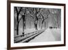 Central Park Snow-Bill Carson Photography-Framed Photographic Print