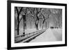 Central Park Snow-Bill Carson Photography-Framed Photographic Print