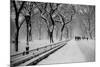 Central Park Snow-Bill Carson Photography-Mounted Photographic Print