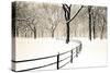 Central Park Snow-Andrew Geiger-Stretched Canvas