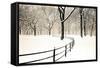 Central Park Snow-Andrew Geiger-Framed Stretched Canvas