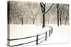 Central Park Snow-Andrew Geiger-Stretched Canvas