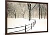 Central Park Snow-Andrew Geiger-Framed Art Print