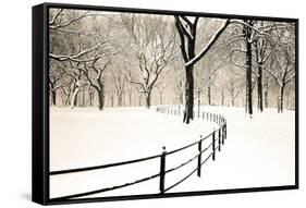 Central Park Snow-Andrew Geiger-Framed Stretched Canvas