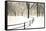 Central Park Snow-Andrew Geiger-Framed Stretched Canvas