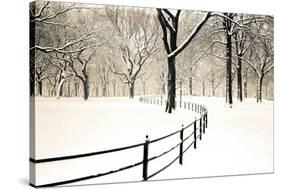 Central Park Snow-Andrew Geiger-Stretched Canvas