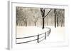 Central Park Snow-Andrew Geiger-Framed Art Print