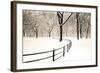 Central Park Snow-Andrew Geiger-Framed Art Print