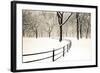 Central Park Snow-Andrew Geiger-Framed Art Print