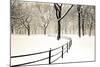 Central Park Snow-Andrew Geiger-Mounted Art Print