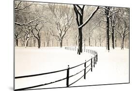 Central Park Snow-Andrew Geiger-Mounted Art Print