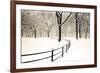 Central Park Snow-Andrew Geiger-Framed Art Print