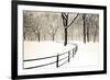 Central Park Snow-Andrew Geiger-Framed Art Print