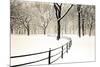 Central Park Snow-Andrew Geiger-Mounted Art Print