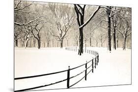 Central Park Snow-Andrew Geiger-Mounted Art Print