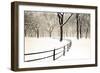 Central Park Snow-Andrew Geiger-Framed Art Print