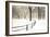 Central Park Snow-Andrew Geiger-Framed Art Print