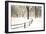 Central Park Snow-Andrew Geiger-Framed Art Print