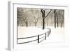 Central Park Snow-Andrew Geiger-Framed Art Print