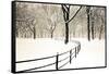 Central Park Snow-Andrew Geiger-Framed Stretched Canvas