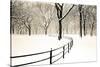 Central Park Snow-Andrew Geiger-Stretched Canvas