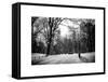 Central Park Snow-Philippe Hugonnard-Framed Stretched Canvas